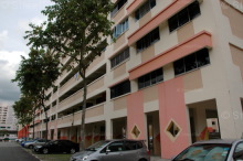 Blk 140 Petir Road (Bukit Panjang), HDB 5 Rooms #208412